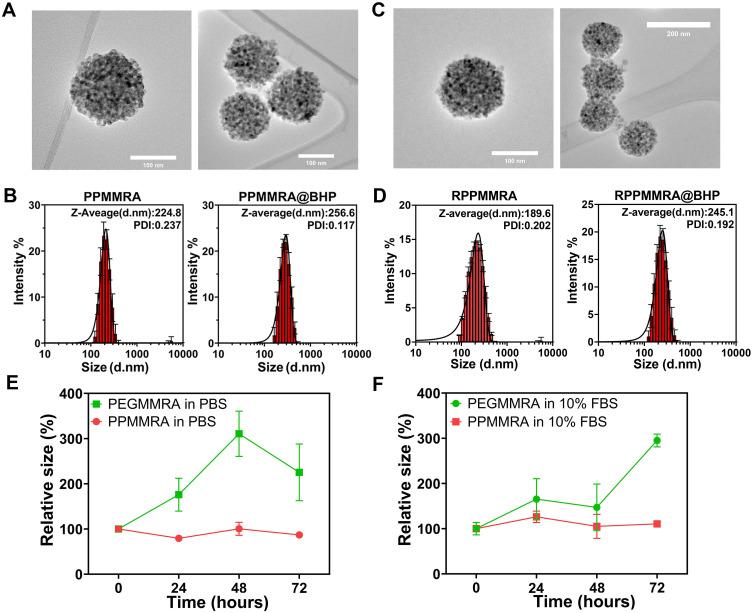 https://cdn.ncbi.nlm.nih.gov/pmc/blobs/07c6/10517702/b812b0deb2eb/IJN-18-5343-g0005.jpg