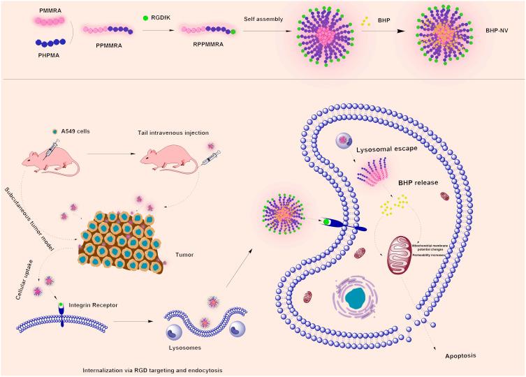 https://cdn.ncbi.nlm.nih.gov/pmc/blobs/07c6/10517702/bfb4db16d85a/IJN-18-5343-g0002.jpg