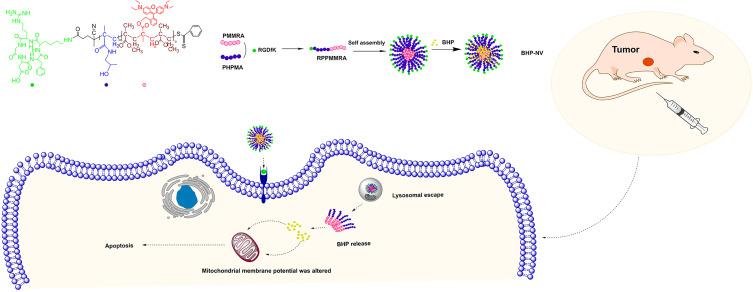 https://cdn.ncbi.nlm.nih.gov/pmc/blobs/07c6/10517702/eca86d95a475/IJN-18-5343-g0001.jpg