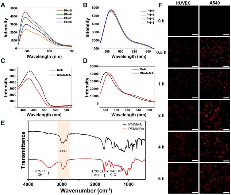 https://cdn.ncbi.nlm.nih.gov/pmc/blobs/07c6/10517702/ee6b1094e479/IJN-18-5343-g0004.jpg