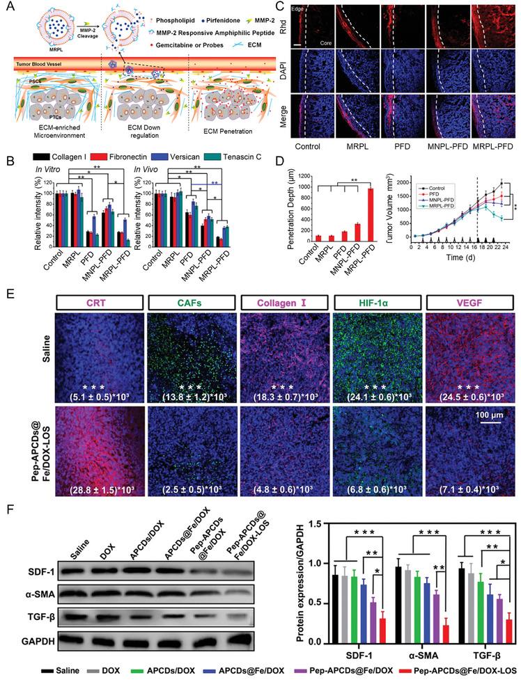 https://cdn.ncbi.nlm.nih.gov/pmc/blobs/07c6/11727388/8f3a62765d0d/ADVS-12-2409898-g019.jpg