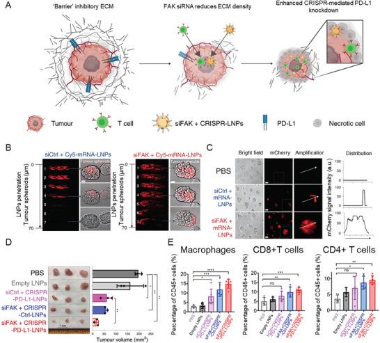 https://cdn.ncbi.nlm.nih.gov/pmc/blobs/07c6/11727388/fa51c6aa3c62/ADVS-12-2409898-g017.jpg