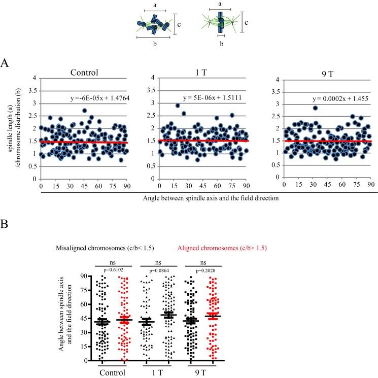 https://cdn.ncbi.nlm.nih.gov/pmc/blobs/07c7/5370190/8a21fcf91561/elife-22911-fig6-figsupp2.jpg