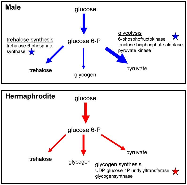 https://cdn.ncbi.nlm.nih.gov/pmc/blobs/07c9/3439400/79876107520b/pone.0044748.g010.jpg