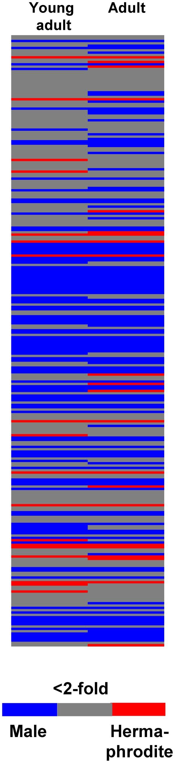 https://cdn.ncbi.nlm.nih.gov/pmc/blobs/07c9/3439400/e38444d7aad9/pone.0044748.g009.jpg