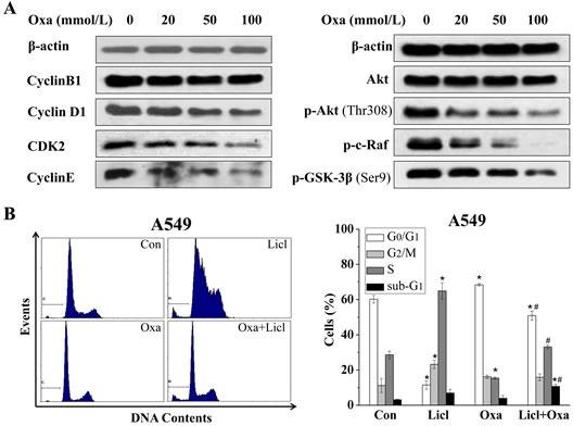 https://cdn.ncbi.nlm.nih.gov/pmc/blobs/07c9/4323009/1861f5ecef3b/oncotarget-05-11886-g003.jpg