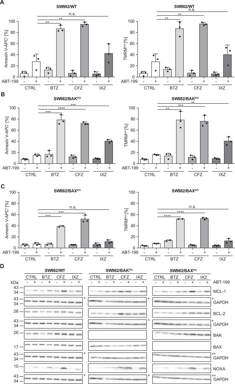 https://cdn.ncbi.nlm.nih.gov/pmc/blobs/07cd/9021261/731e3add2331/41420_2022_1009_Fig1_HTML.jpg
