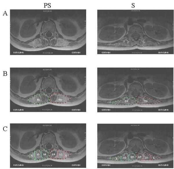 https://cdn.ncbi.nlm.nih.gov/pmc/blobs/07d0/2642764/0cfc8e772848/1748-7161-3-21-1.jpg
