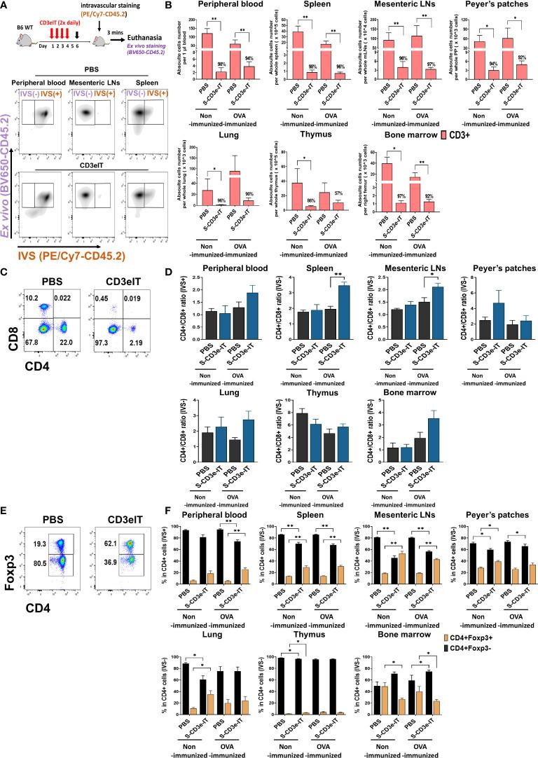 https://cdn.ncbi.nlm.nih.gov/pmc/blobs/07d3/9643874/4d59b04257ff/fimmu-13-1011190-g001.jpg