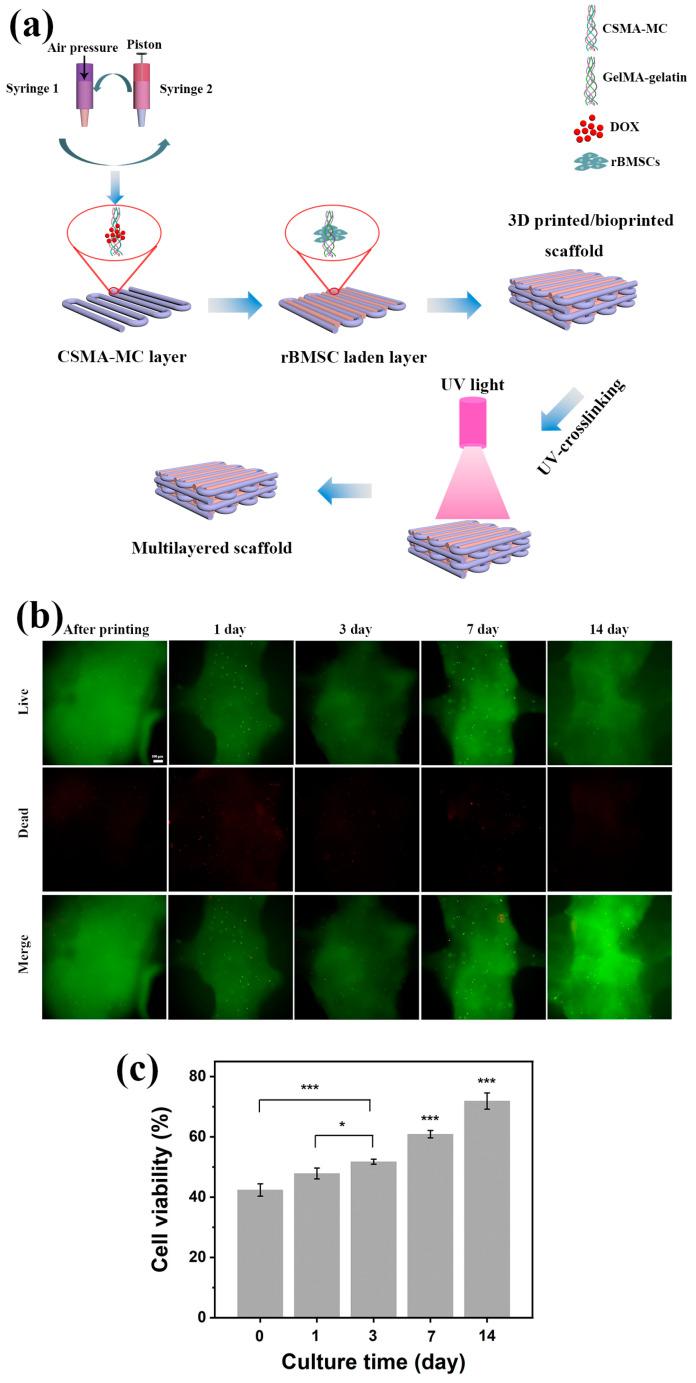 https://cdn.ncbi.nlm.nih.gov/pmc/blobs/07d5/11678273/4e8d1a5da315/jfb-15-00381-g010.jpg