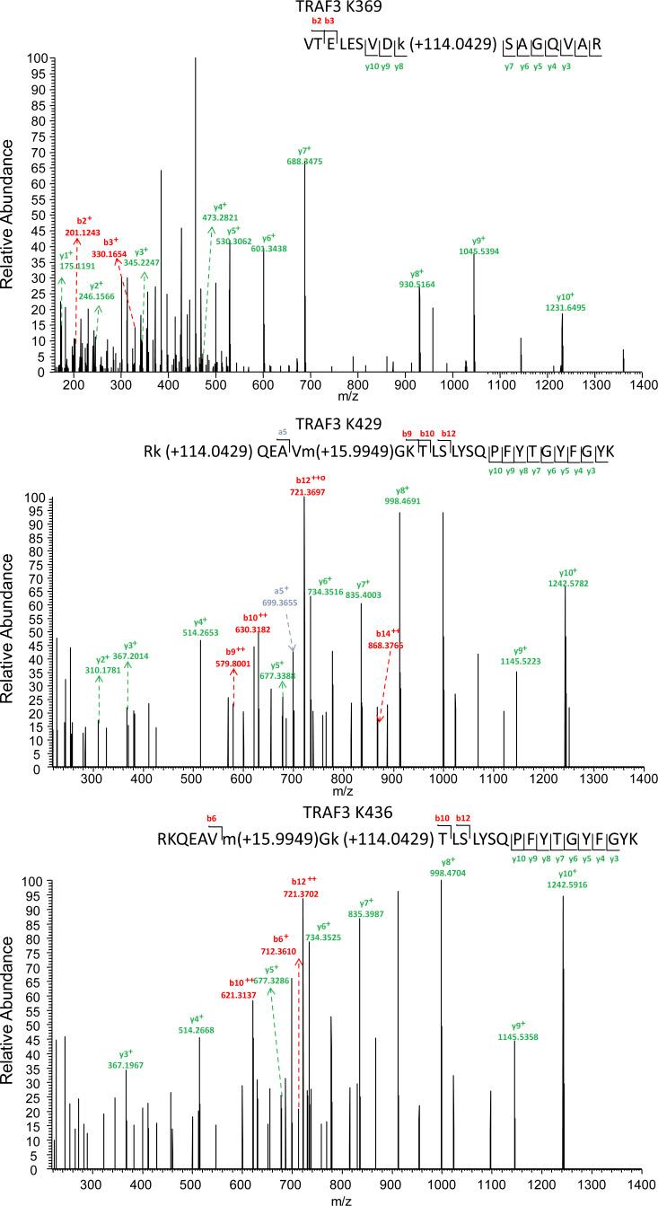 https://cdn.ncbi.nlm.nih.gov/pmc/blobs/07d5/7336305/297b7524eb3c/JEM_20192083_FigS3.jpg