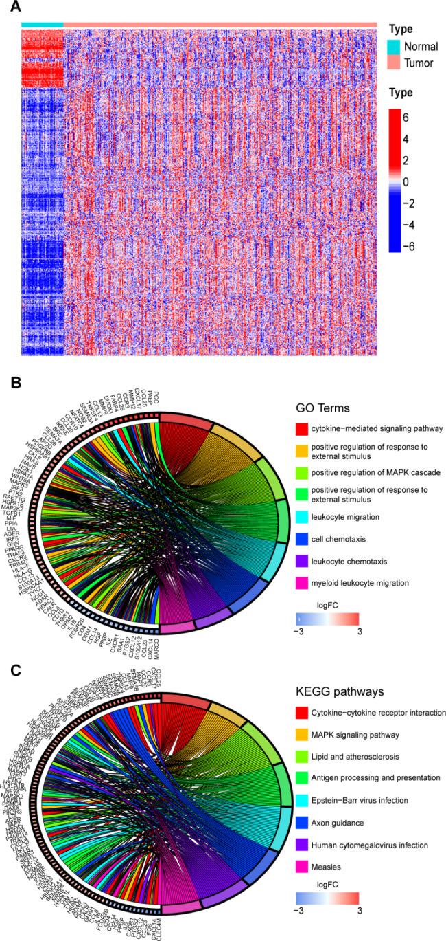 https://cdn.ncbi.nlm.nih.gov/pmc/blobs/07d6/10273514/3c9ed69c3be5/12885_2023_10900_Fig1_HTML.jpg