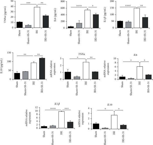 https://cdn.ncbi.nlm.nih.gov/pmc/blobs/07d6/8057883/ba69e1599475/OMCL2021-6662156.003.jpg
