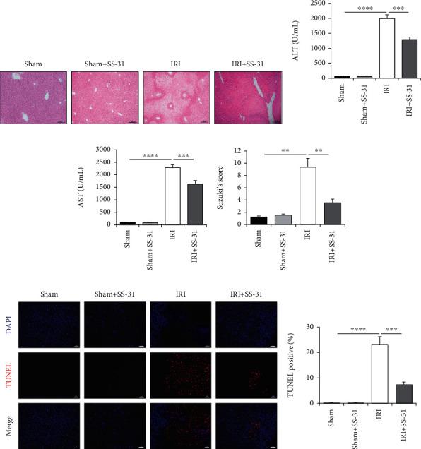https://cdn.ncbi.nlm.nih.gov/pmc/blobs/07d6/8057883/e7e4d283b8f9/OMCL2021-6662156.001.jpg