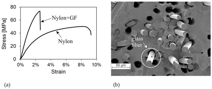 https://cdn.ncbi.nlm.nih.gov/pmc/blobs/07d7/11175037/a7de8fc22d9a/polymers-16-01576-g008.jpg