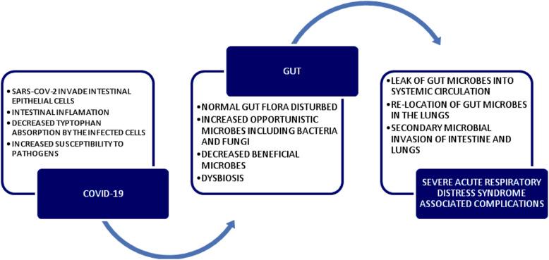 https://cdn.ncbi.nlm.nih.gov/pmc/blobs/07d7/8380112/1703a28e2c90/43088_2021_134_Fig2_HTML.jpg