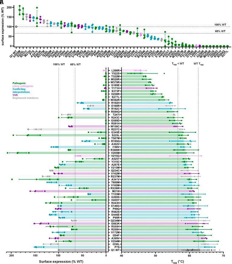 https://cdn.ncbi.nlm.nih.gov/pmc/blobs/07d8/11873829/6b9c07faaade/pnas.2412971122fig04.jpg