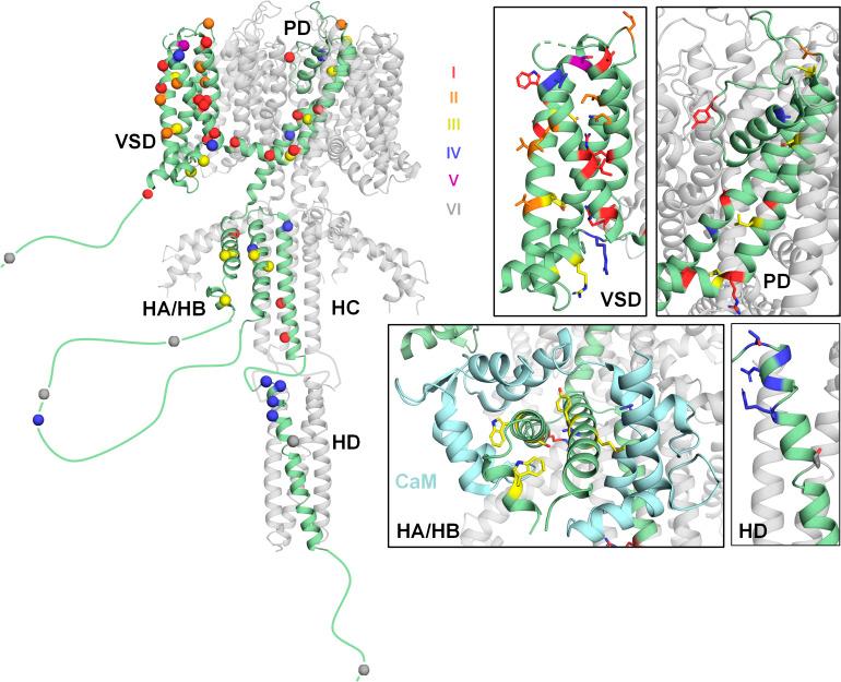 https://cdn.ncbi.nlm.nih.gov/pmc/blobs/07d8/11873829/f1af23d38ad4/pnas.2412971122fig01.jpg