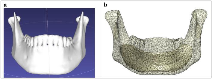 https://cdn.ncbi.nlm.nih.gov/pmc/blobs/07d9/11116419/83f3820b2b65/41598_2024_62011_Fig1_HTML.jpg