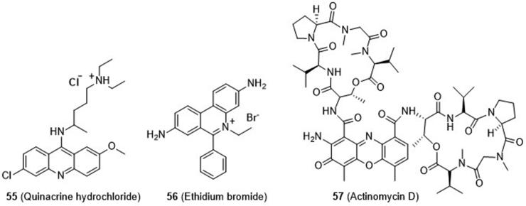 https://cdn.ncbi.nlm.nih.gov/pmc/blobs/07d9/7745059/134a90b50ca1/gr14.jpg