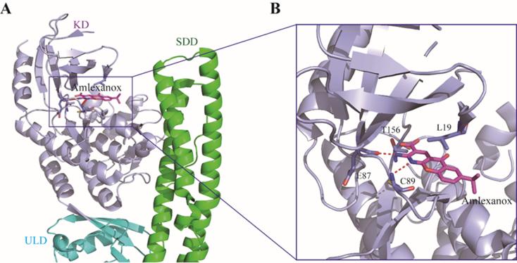 https://cdn.ncbi.nlm.nih.gov/pmc/blobs/07d9/7745059/d779176e377a/gr23.jpg