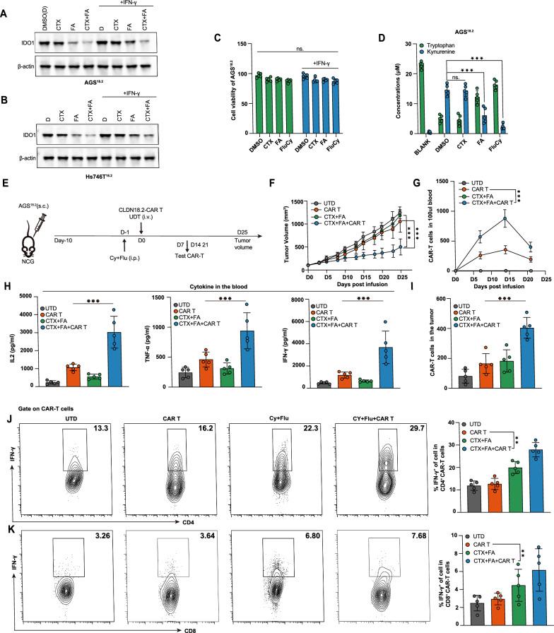 https://cdn.ncbi.nlm.nih.gov/pmc/blobs/07da/11884131/3007faafdd5c/12967_2025_6276_Fig6_HTML.jpg