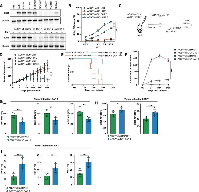 https://cdn.ncbi.nlm.nih.gov/pmc/blobs/07da/11884131/31fe87964cd3/12967_2025_6276_Fig2_HTML.jpg