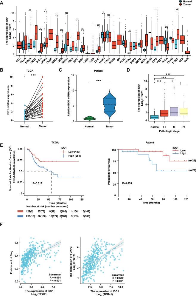 https://cdn.ncbi.nlm.nih.gov/pmc/blobs/07da/11884131/610a1001ad55/12967_2025_6276_Fig1_HTML.jpg