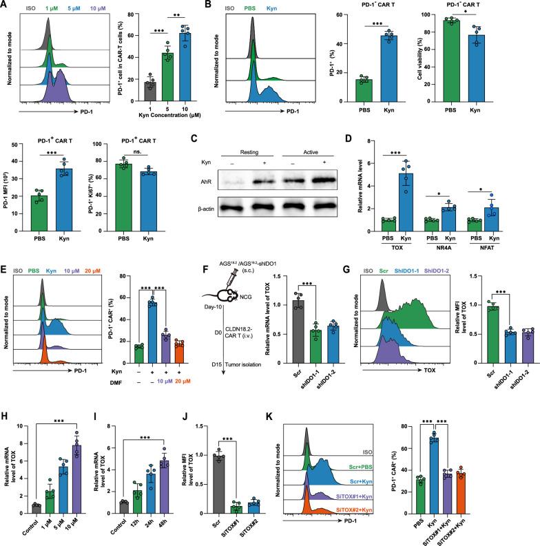https://cdn.ncbi.nlm.nih.gov/pmc/blobs/07da/11884131/8be76242162c/12967_2025_6276_Fig7_HTML.jpg