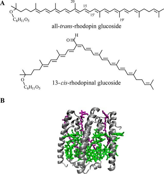 https://cdn.ncbi.nlm.nih.gov/pmc/blobs/07db/4174993/6e752fe73bc1/jp-2014-070984_0002.jpg