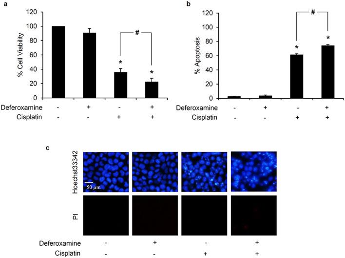 https://cdn.ncbi.nlm.nih.gov/pmc/blobs/07dc/8317380/b7e402686723/40659_2021_346_Fig6_HTML.jpg