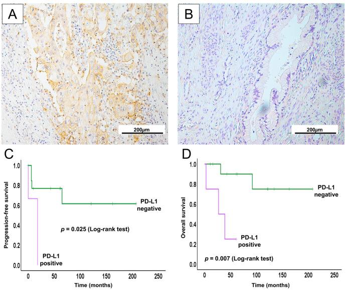 https://cdn.ncbi.nlm.nih.gov/pmc/blobs/07dd/12347983/1cfc627f3ef8/ijms-26-07469-g005.jpg