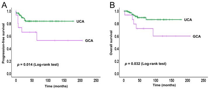 https://cdn.ncbi.nlm.nih.gov/pmc/blobs/07dd/12347983/d286025a7628/ijms-26-07469-g002.jpg