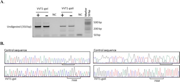 https://cdn.ncbi.nlm.nih.gov/pmc/blobs/07de/6933148/2c8ab3db61b1/gr3.jpg