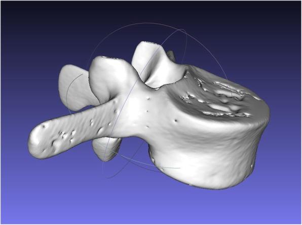 https://cdn.ncbi.nlm.nih.gov/pmc/blobs/07df/7227090/d6fbf211278a/13018_2020_1690_Fig3_HTML.jpg