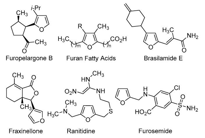 https://cdn.ncbi.nlm.nih.gov/pmc/blobs/07df/8124928/b82f54f63a29/molecules-26-02637-g001.jpg