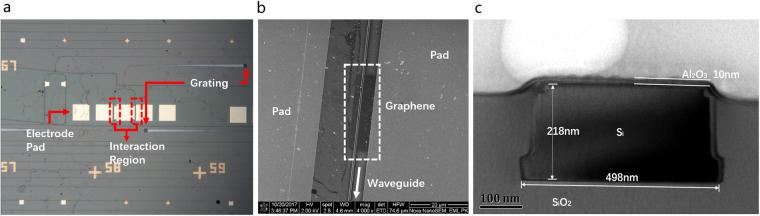 https://cdn.ncbi.nlm.nih.gov/pmc/blobs/07e0/5772525/fc613bb0d1db/41598_2018_19171_Fig3_HTML.jpg