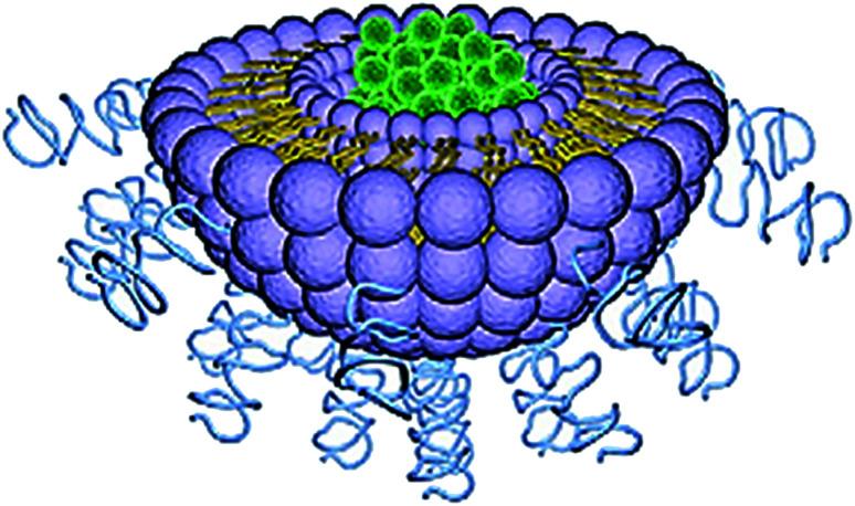https://cdn.ncbi.nlm.nih.gov/pmc/blobs/07e0/9069890/19f8975610da/c9ra04358f-f9.jpg
