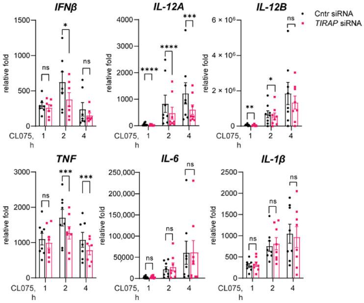 https://cdn.ncbi.nlm.nih.gov/pmc/blobs/07e1/9312982/06ea3c200df4/biomedicines-10-01476-g001.jpg
