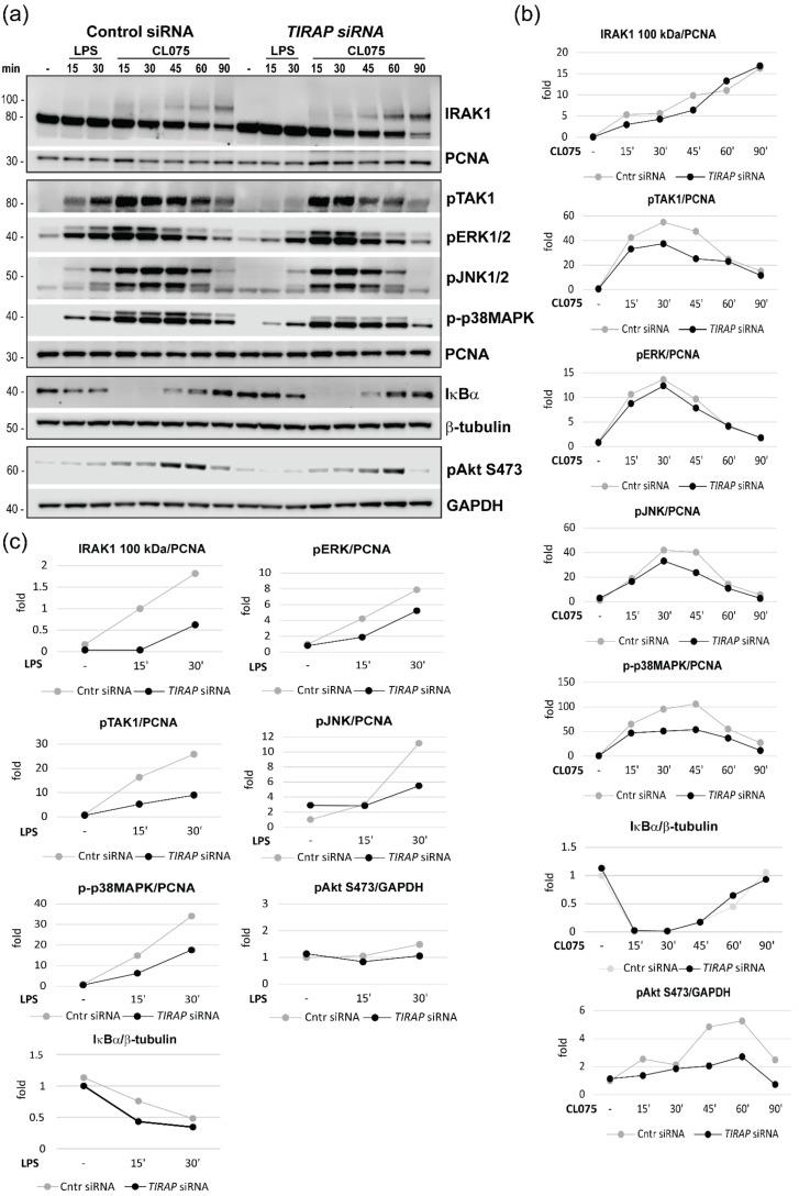 https://cdn.ncbi.nlm.nih.gov/pmc/blobs/07e1/9312982/d4e184b604cd/biomedicines-10-01476-g006.jpg