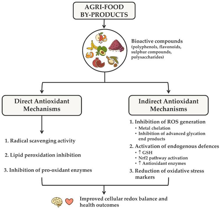 https://cdn.ncbi.nlm.nih.gov/pmc/blobs/07e2/12348487/d1e62d9dc391/nutrients-17-02528-g005.jpg