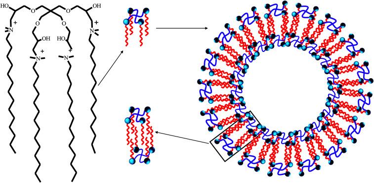 https://cdn.ncbi.nlm.nih.gov/pmc/blobs/07e2/9088746/602bb9bb8ea8/c8ra06900j-f6.jpg