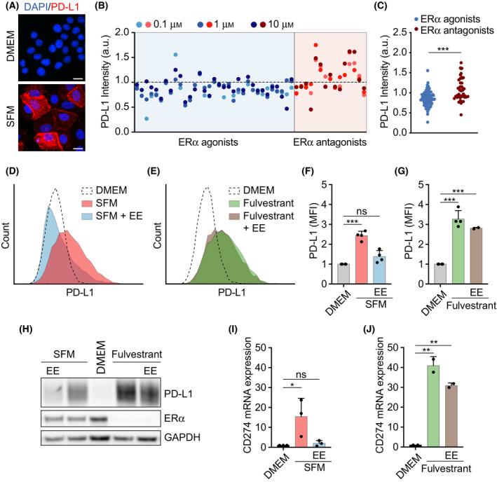 https://cdn.ncbi.nlm.nih.gov/pmc/blobs/07e3/8732350/6b6a6c9e7489/MOL2-16-148-g006.jpg