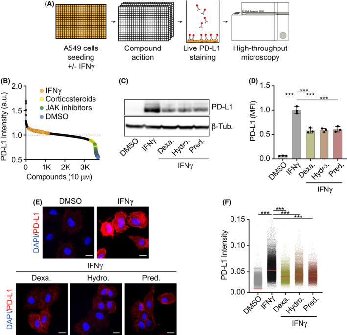 https://cdn.ncbi.nlm.nih.gov/pmc/blobs/07e3/8732350/7ec10c0e3aff/MOL2-16-148-g005.jpg