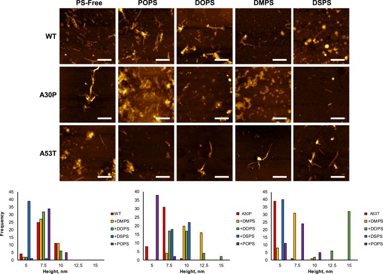 https://cdn.ncbi.nlm.nih.gov/pmc/blobs/07e4/10679493/59be7e6a989c/gr3.jpg