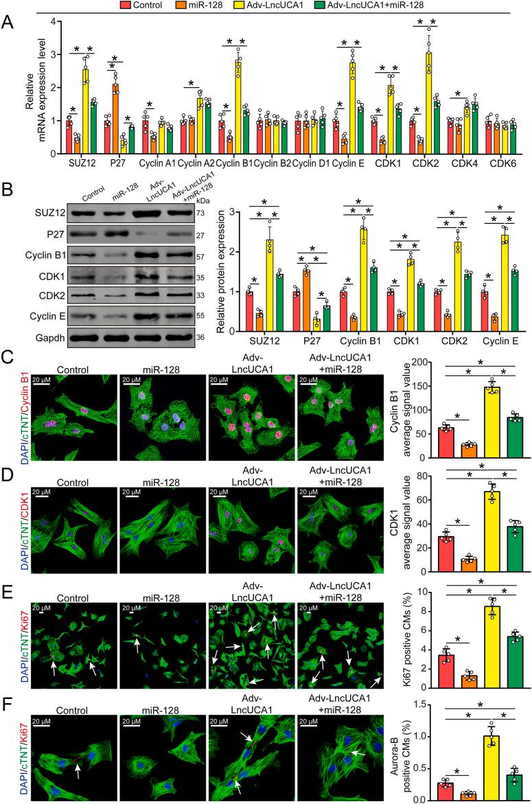 https://cdn.ncbi.nlm.nih.gov/pmc/blobs/07e4/11296037/2bfb889a8304/gr6.jpg