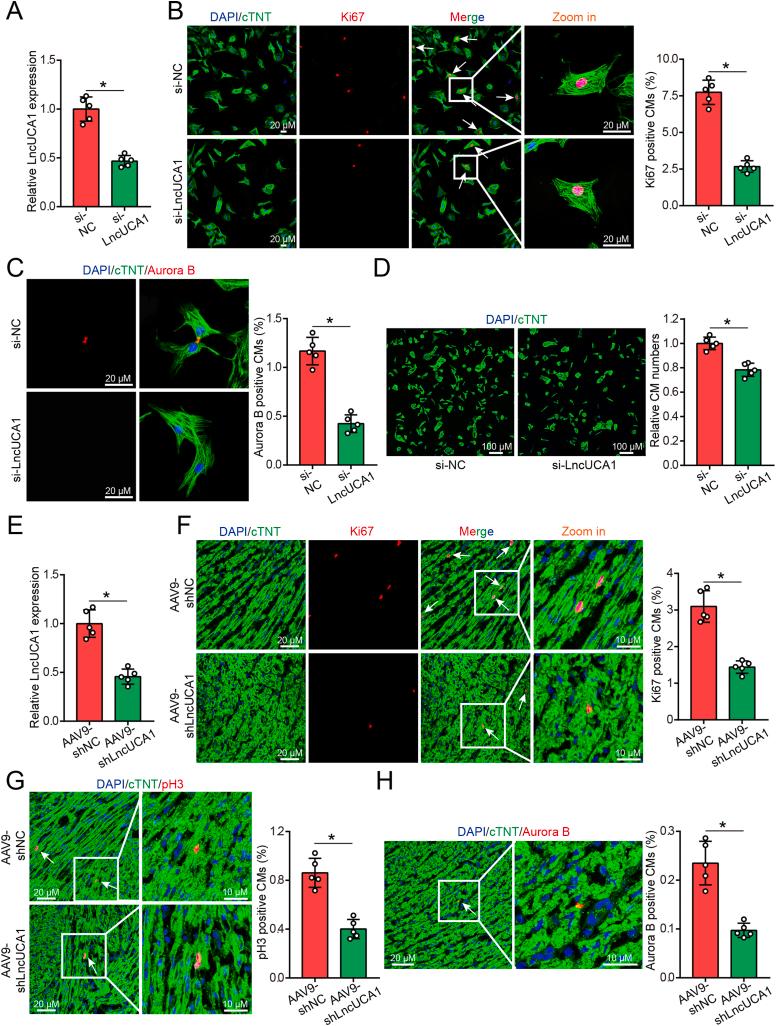 https://cdn.ncbi.nlm.nih.gov/pmc/blobs/07e4/11296037/a57379c8804c/gr4.jpg