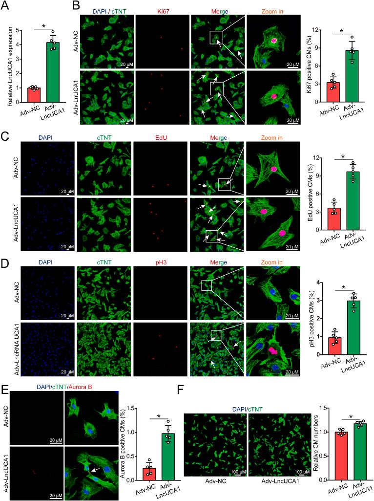 https://cdn.ncbi.nlm.nih.gov/pmc/blobs/07e4/11296037/b72dfda6f337/gr2.jpg
