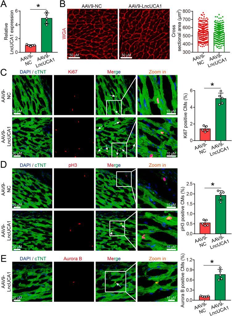 https://cdn.ncbi.nlm.nih.gov/pmc/blobs/07e4/11296037/c38c000ac8e6/gr3.jpg