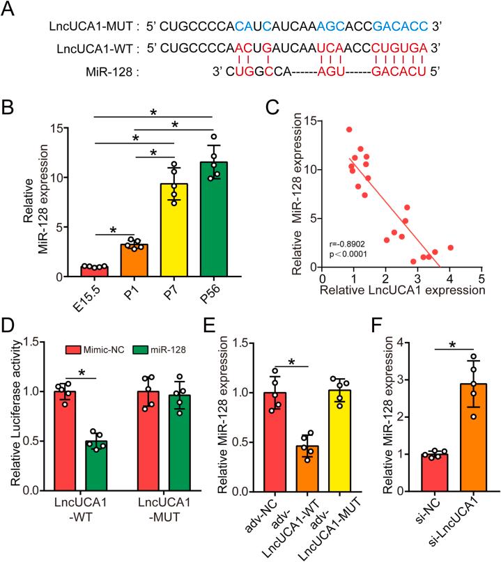 https://cdn.ncbi.nlm.nih.gov/pmc/blobs/07e4/11296037/c4e53a34d5f9/gr5.jpg